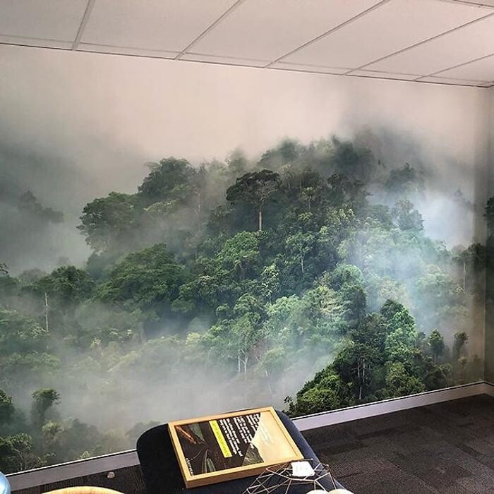 Images Wawallpaper & Painting Services