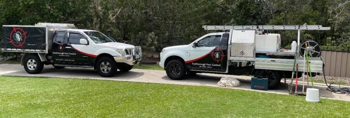Images Scarborough Pest Control