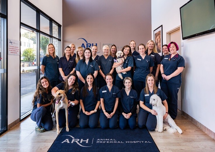 Images ARH Gosford Central Coast - Pet Emergency