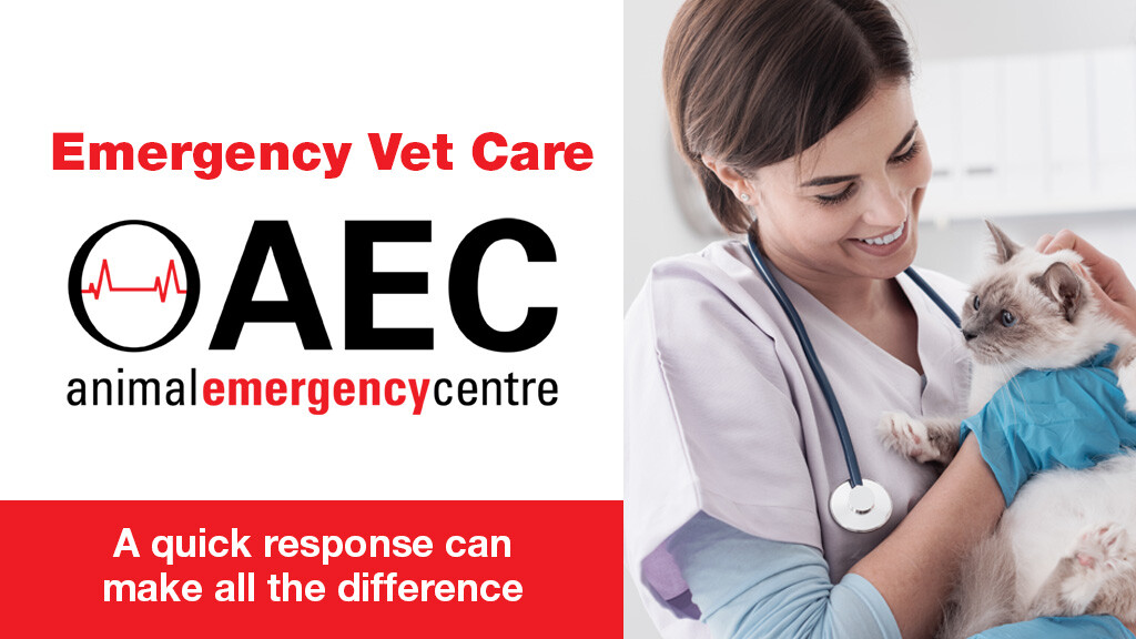 Images Animal Emergency Centre - Noosa