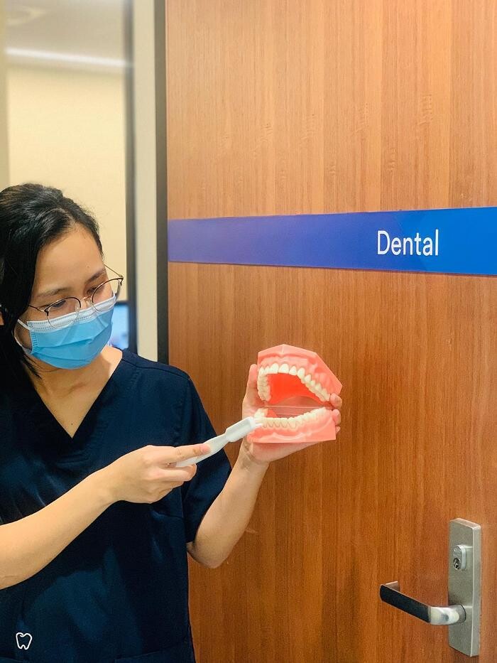 Images Primary Dental Greensborough