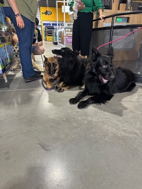 Images Petbarn Box Hill Terry Road