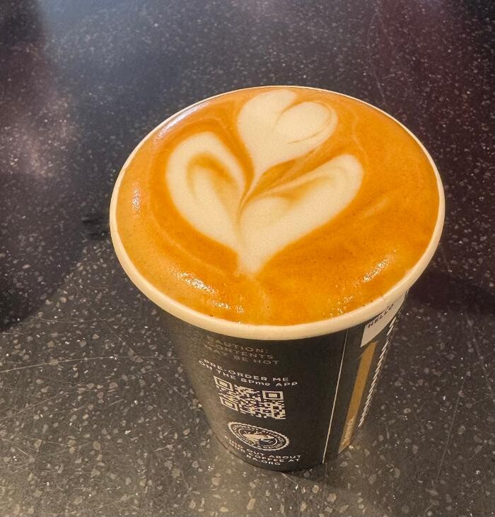 Images wildbean cafe