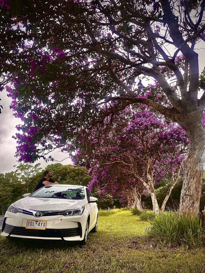 Images East Coast Car Rentals - Sunshine Coast Airport