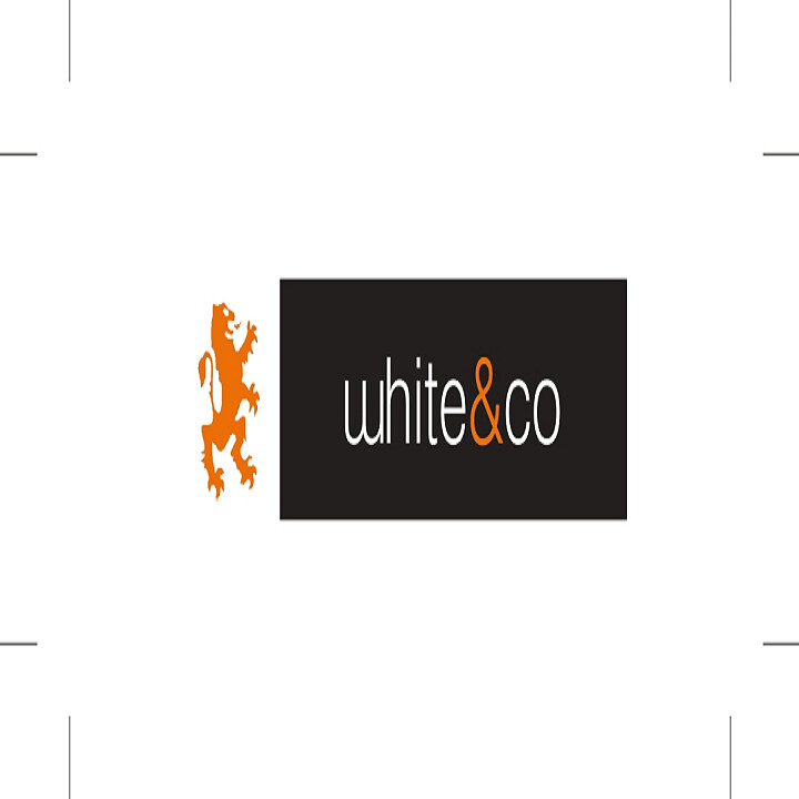 white&co real estate Logo