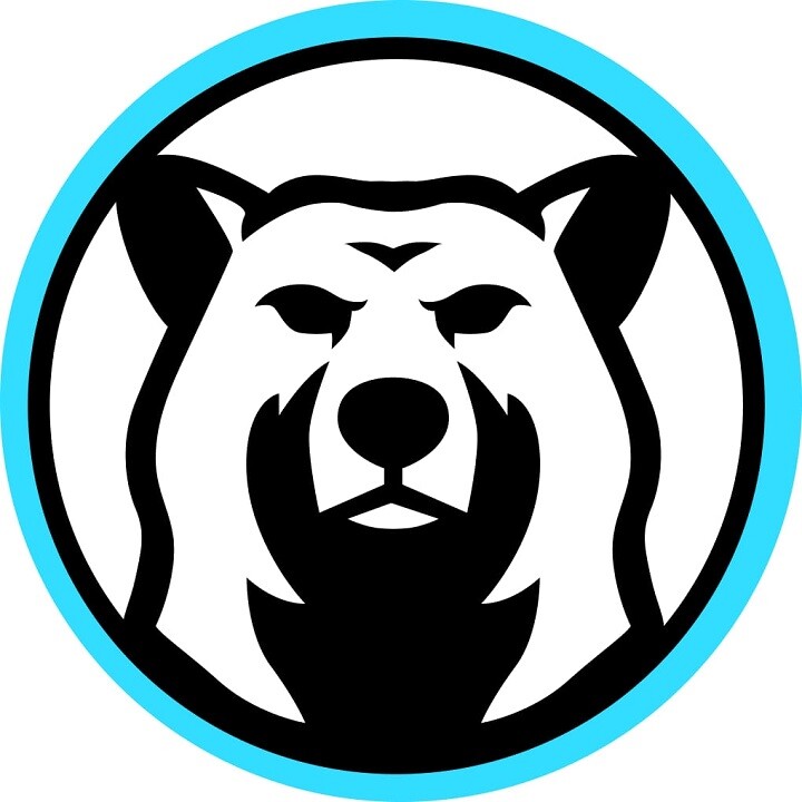 Brown Bear Plumbing Services Logo