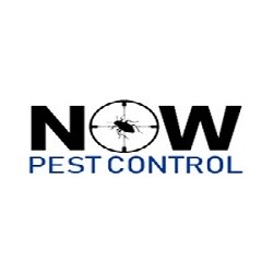 Now Pest Control Logo