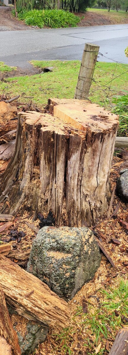 Images Victorian Tree Specialists