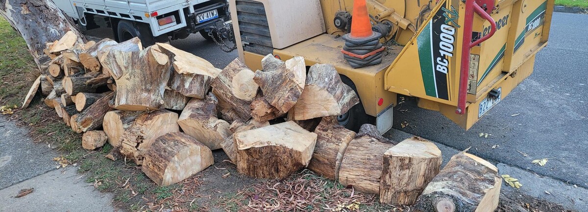 Images Victorian Tree Specialists