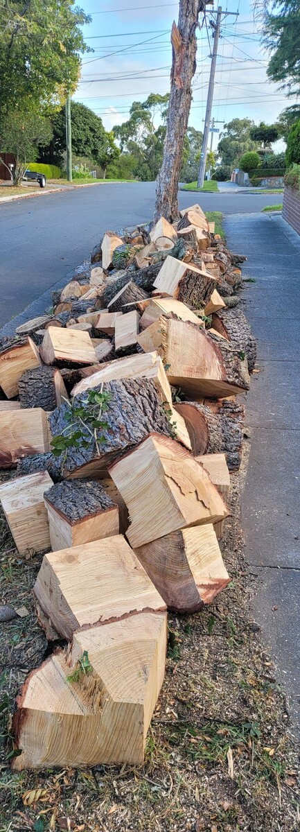 Images Victorian Tree Specialists
