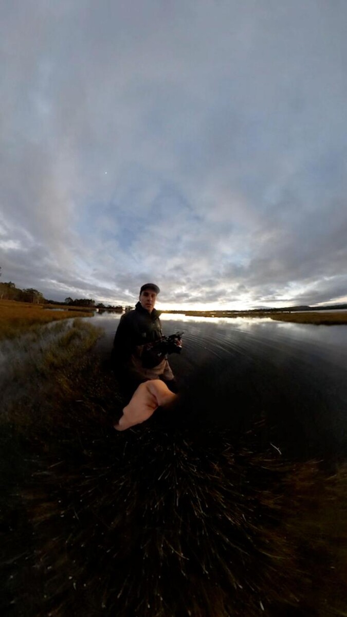Images Wakeford Digital