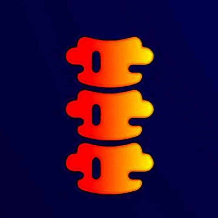 ProActive Life Physio Logo