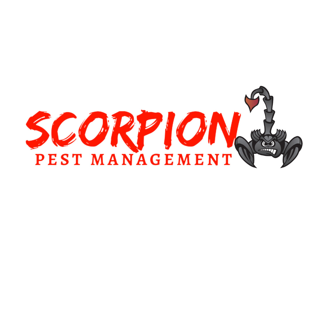 Scorpion Pest Management Logo