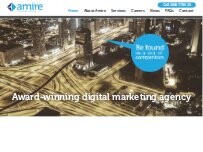 Website Screenshot Amire Digital Marketing
