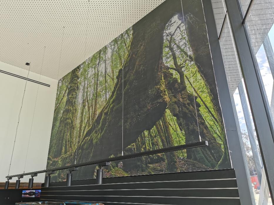 Images Think Big Printing