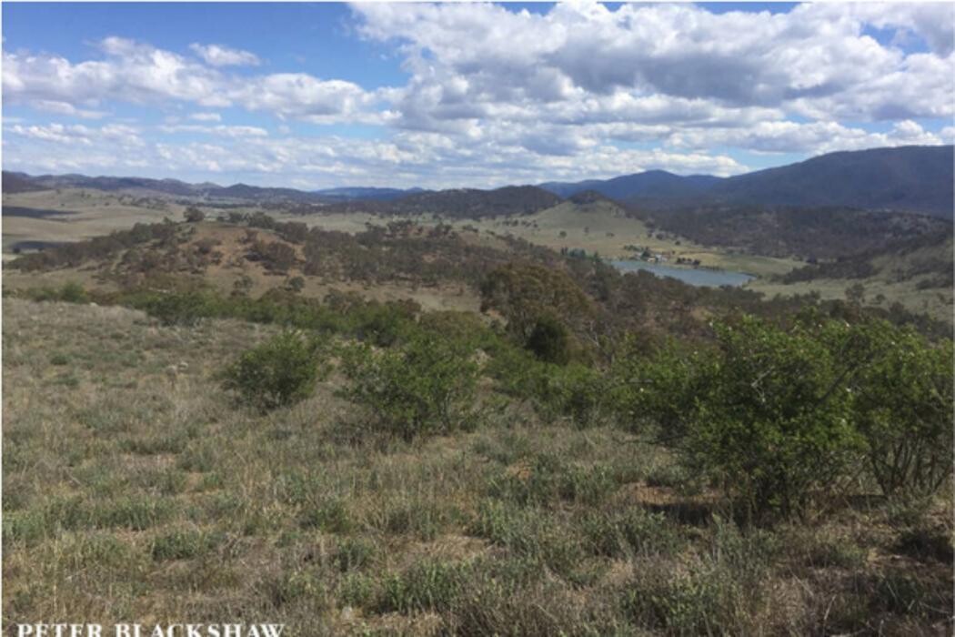 Images Blackshaw Real Estate Belconnen