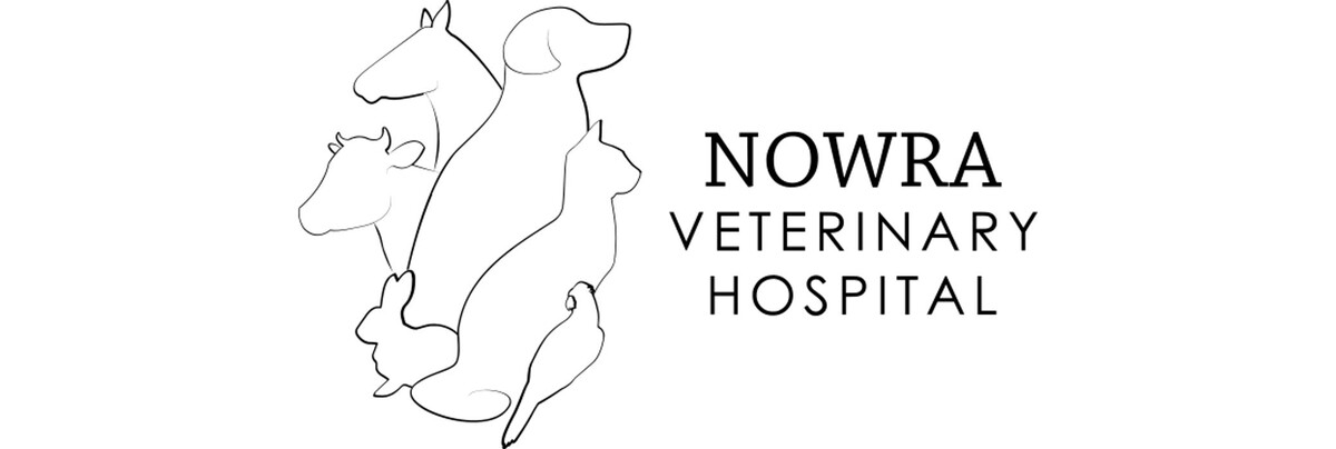 Images Nowra Veterinary Hospital