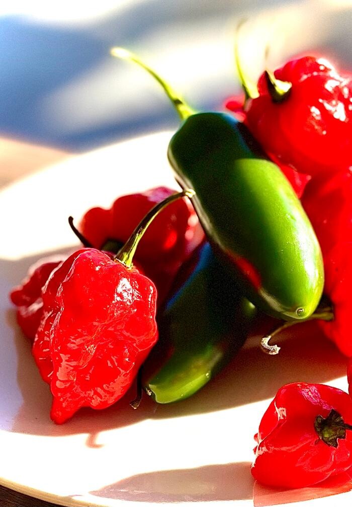 Images Urban Kitchen Cafe