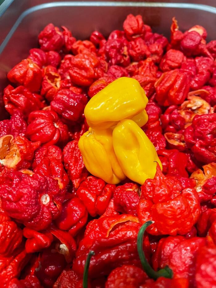 Images Urban Kitchen Cafe