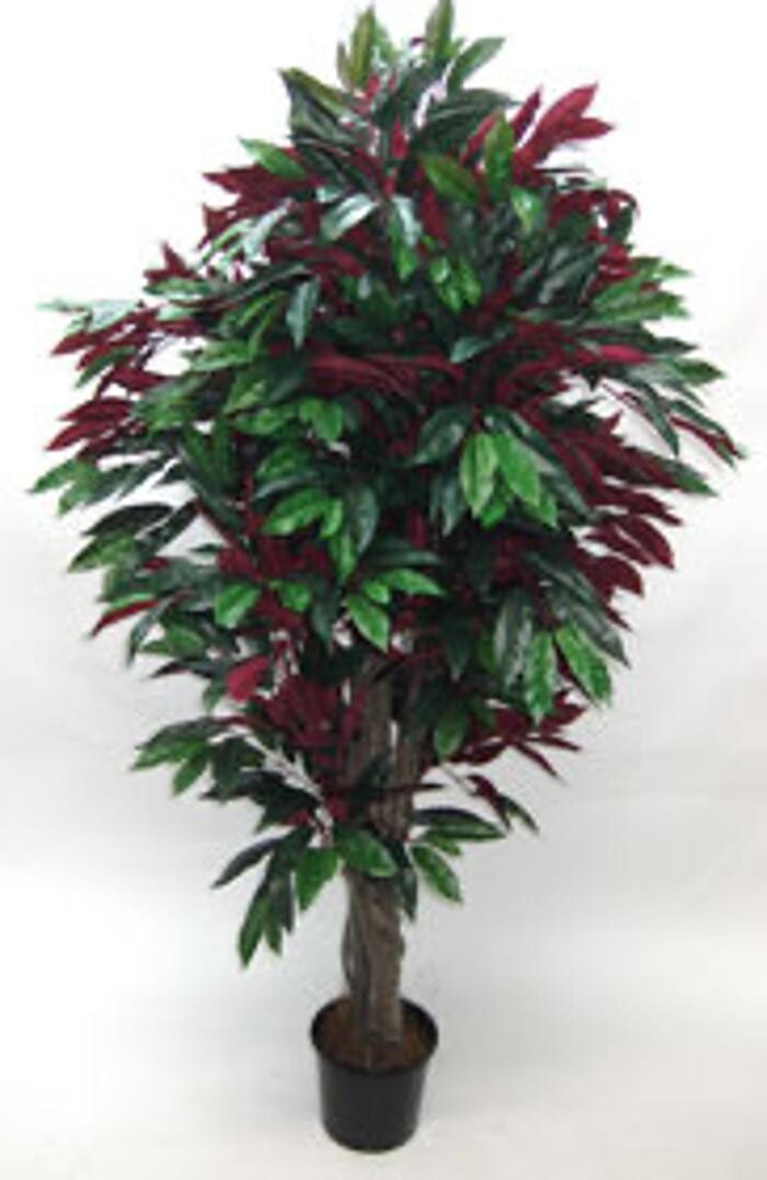 Images Artificial Plant Importers