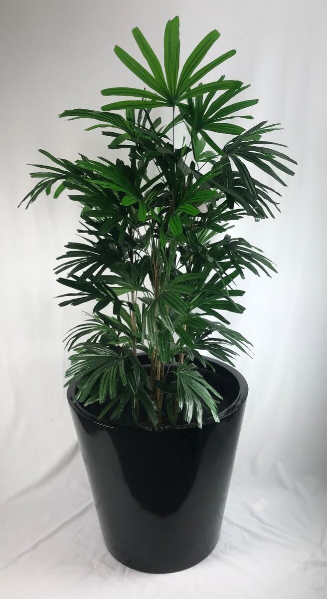 Images Artificial Plant Importers