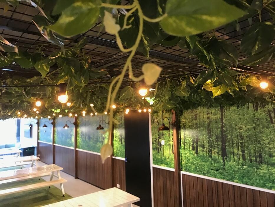 Images Artificial Plant Importers