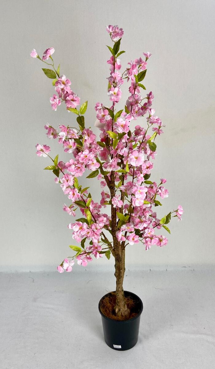 Images Artificial Plant Importers