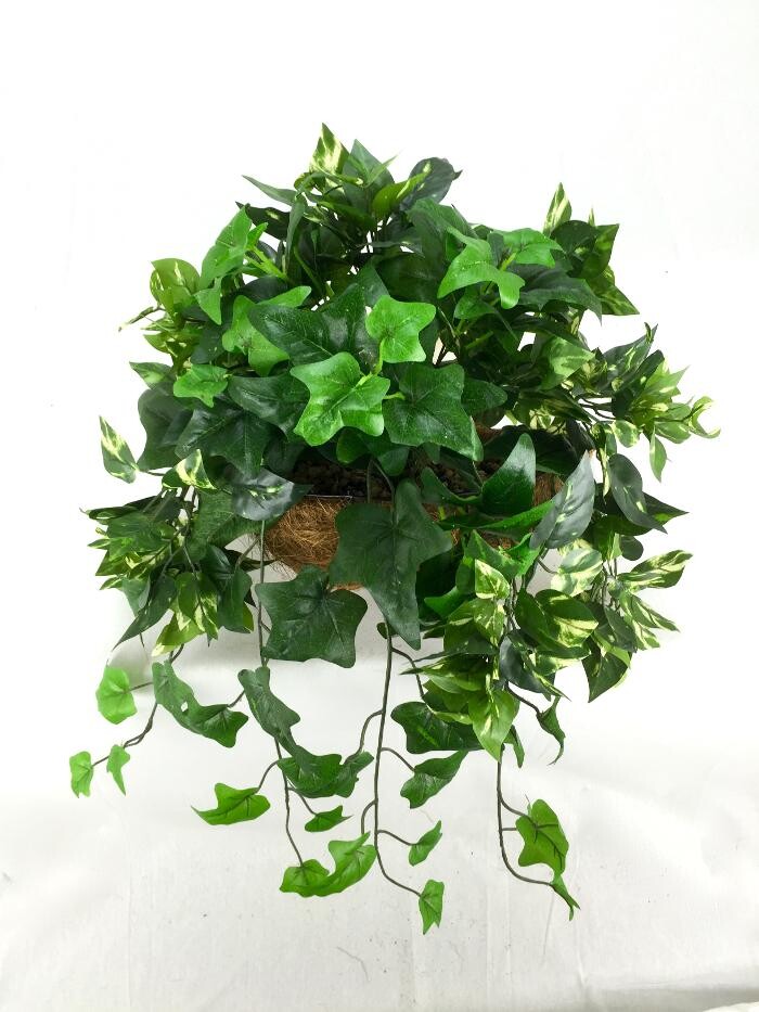 Images Artificial Plant Importers