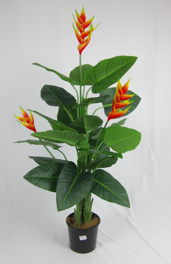 Images Artificial Plant Importers