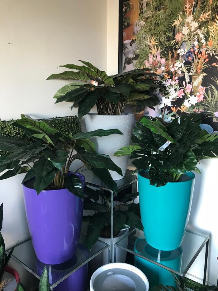 Images Artificial Plant Importers