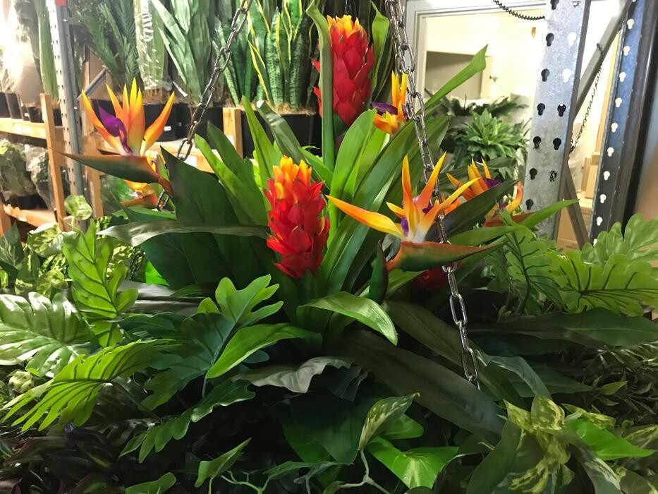 Images Artificial Plant Importers