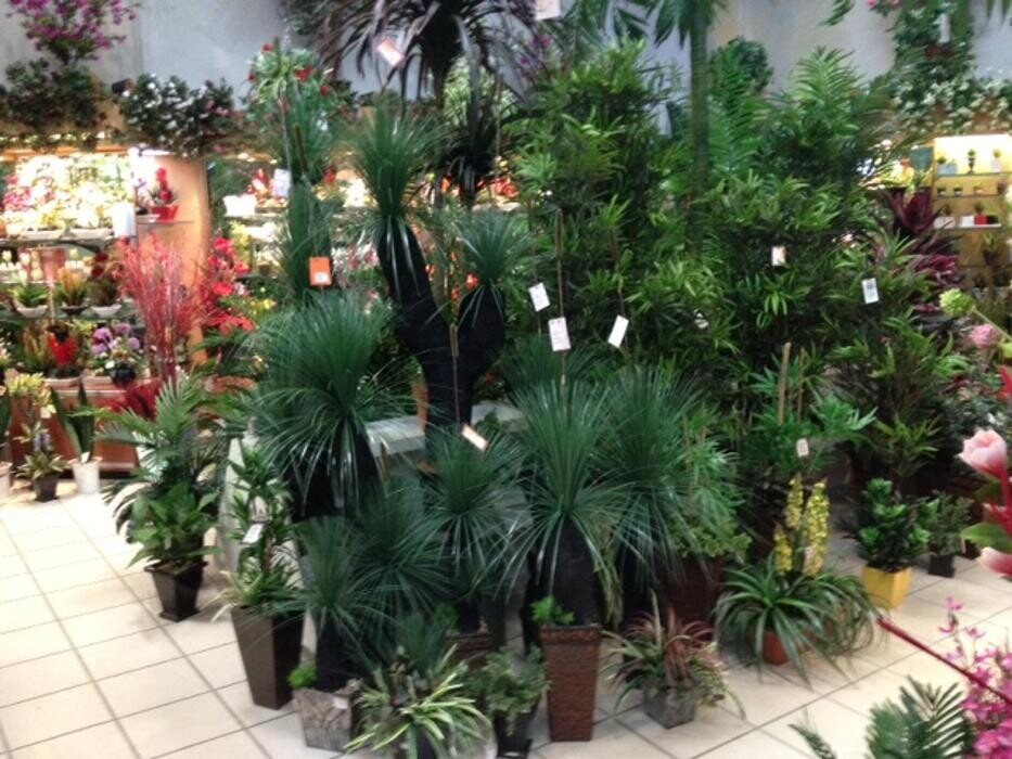 Images Artificial Plant Importers