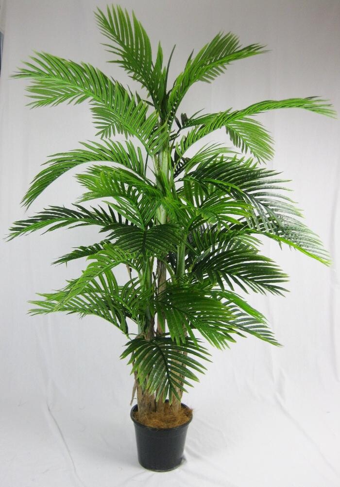 Images Artificial Plant Importers