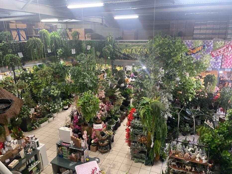 Images Artificial Plant Importers