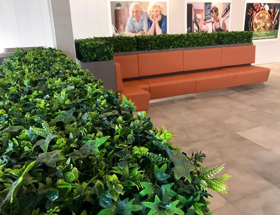 Images Artificial Plant Importers