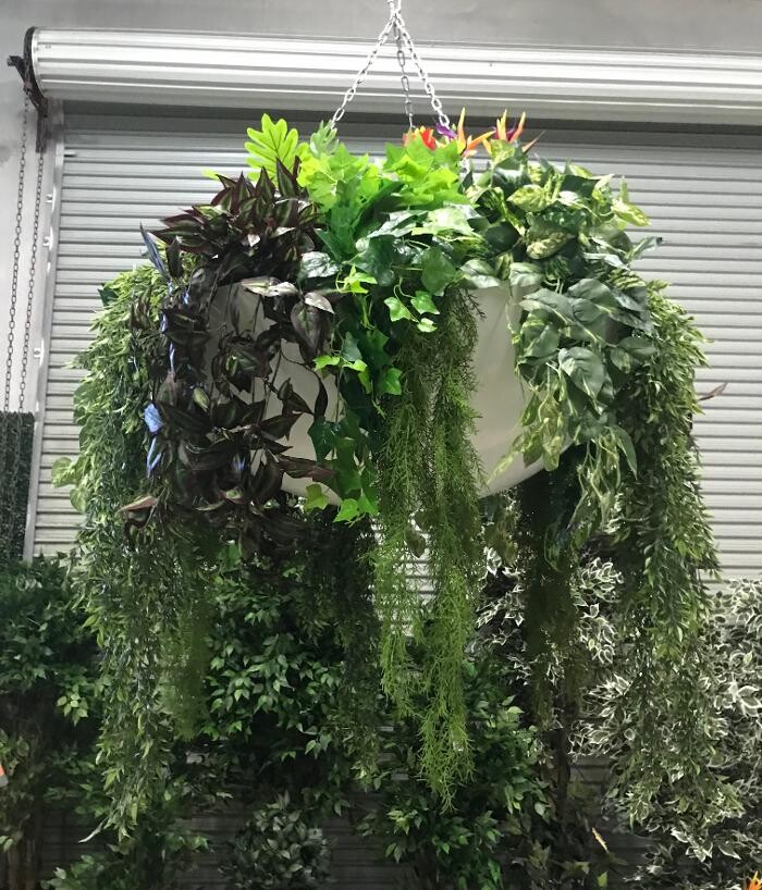 Images Artificial Plant Importers