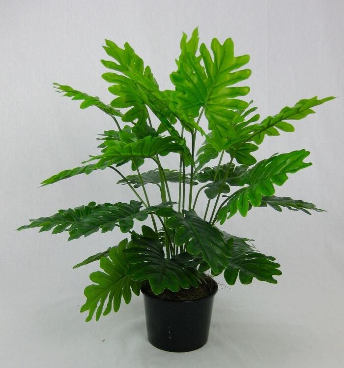 Images Artificial Plant Importers