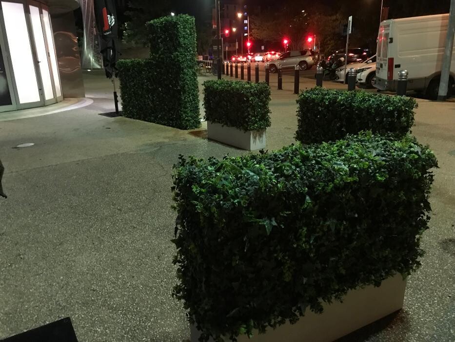 Images Artificial Plant Importers