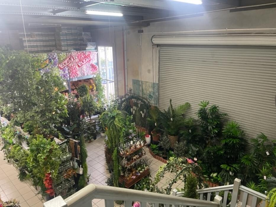 Images Artificial Plant Importers