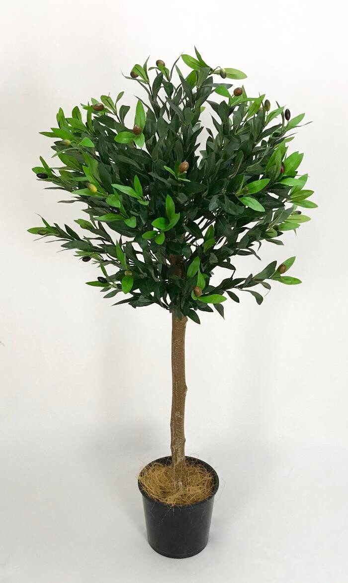 Images Artificial Plant Importers