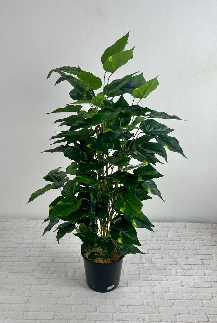 Images Artificial Plant Importers