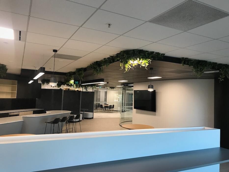 Images Artificial Plant Importers