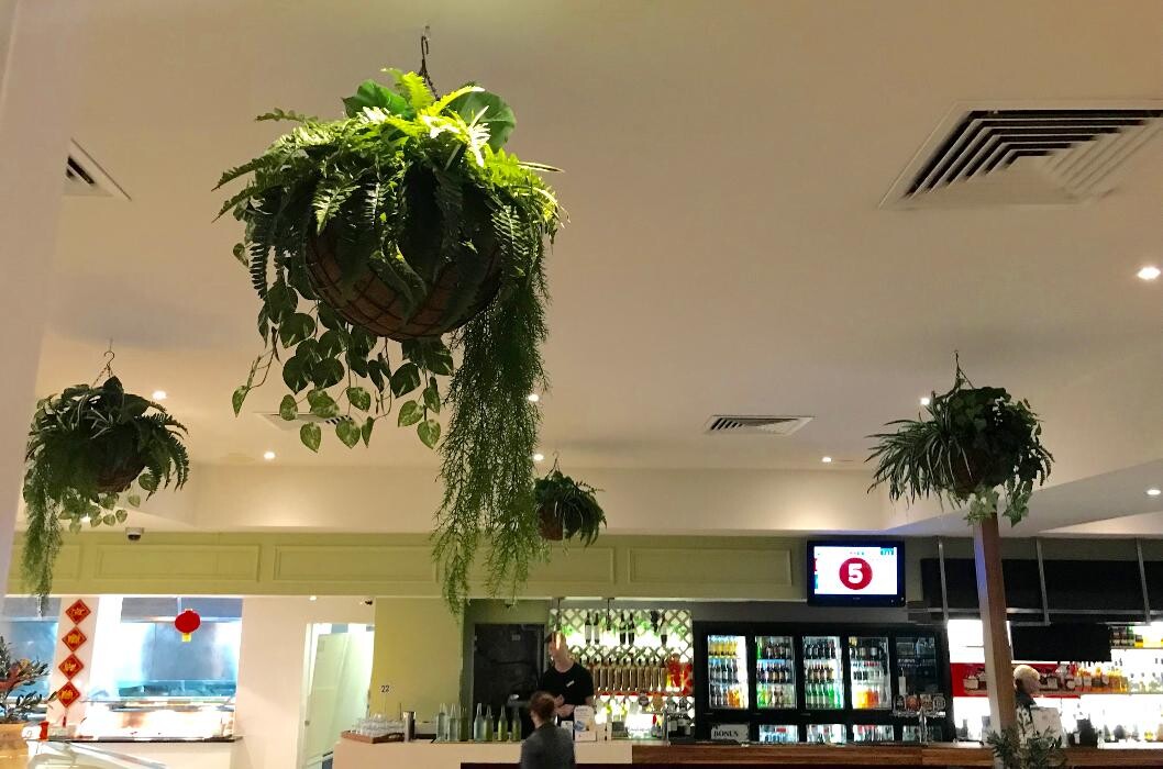 Images Artificial Plant Importers