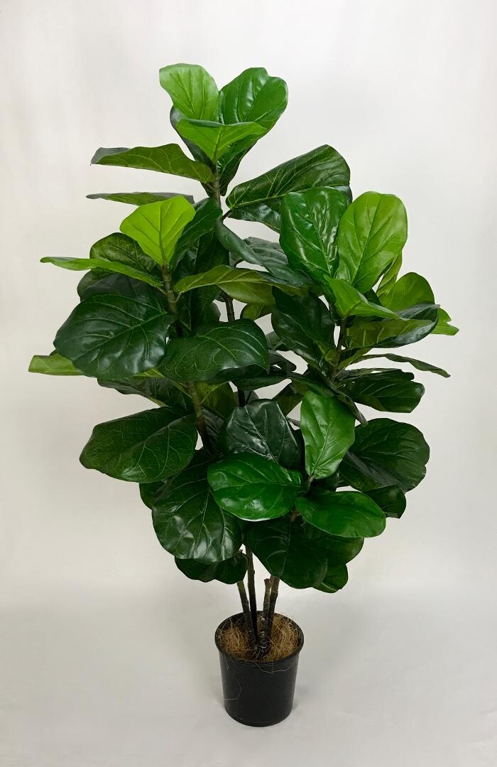 Images Artificial Plant Importers