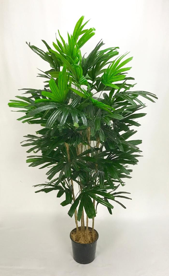 Images Artificial Plant Importers