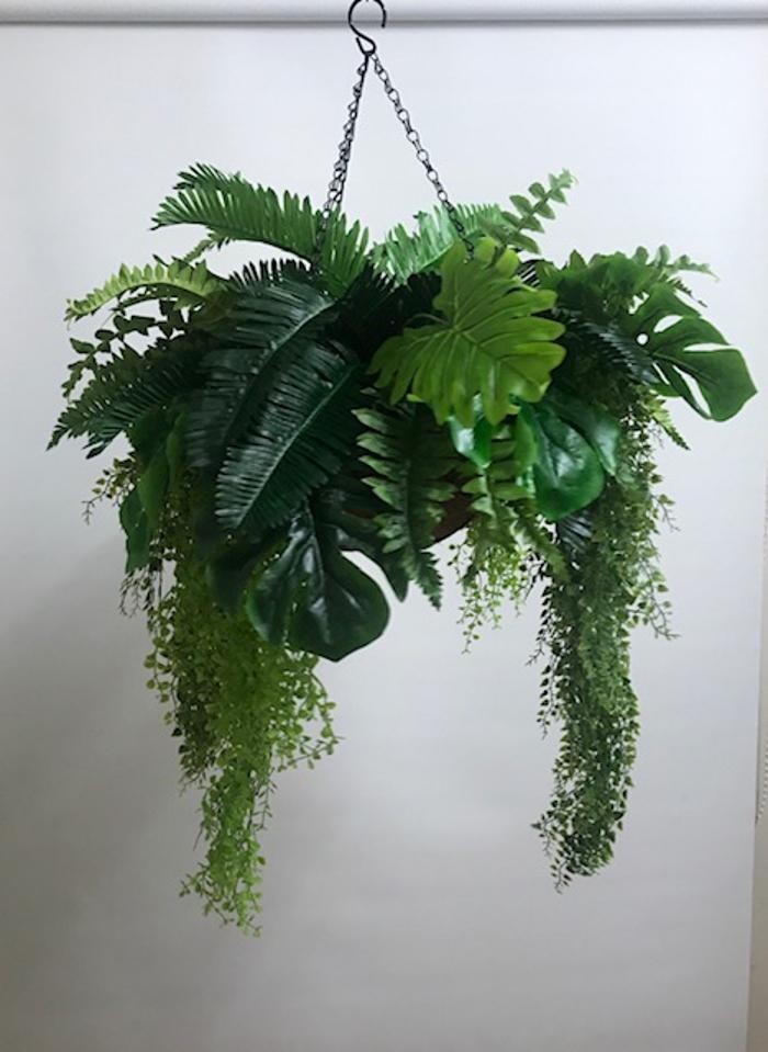 Images Artificial Plant Importers