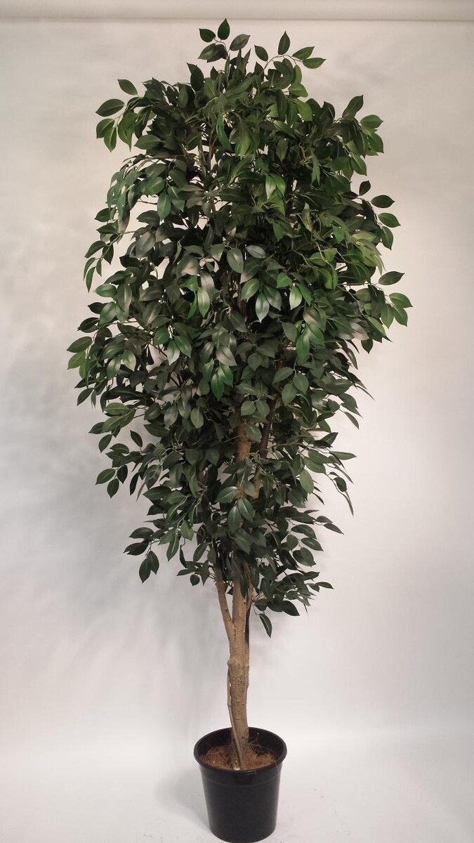 Images Artificial Plant Importers