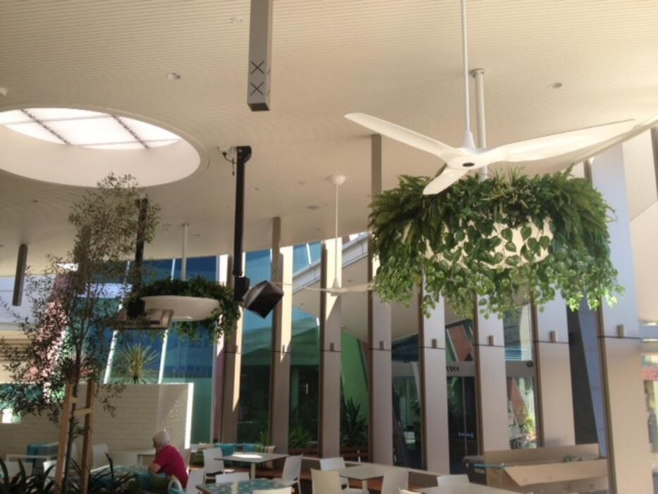 Images Artificial Plant Importers