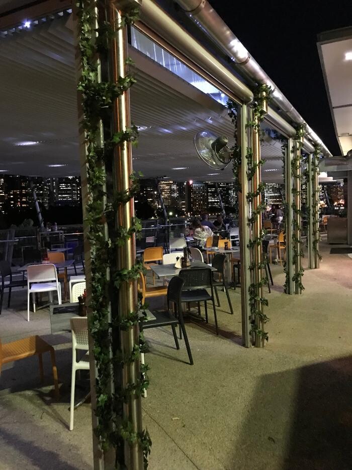 Images Artificial Plant Importers