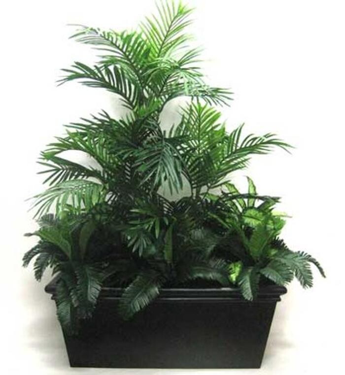 Images Artificial Plant Importers